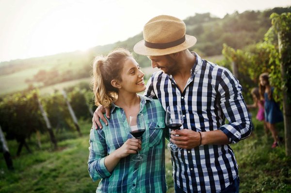Was tun, wenn meine Katze das Essen verweigert?